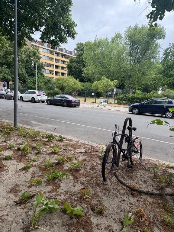 Foto zur Meldung: Abfall - Schrottfahrräder