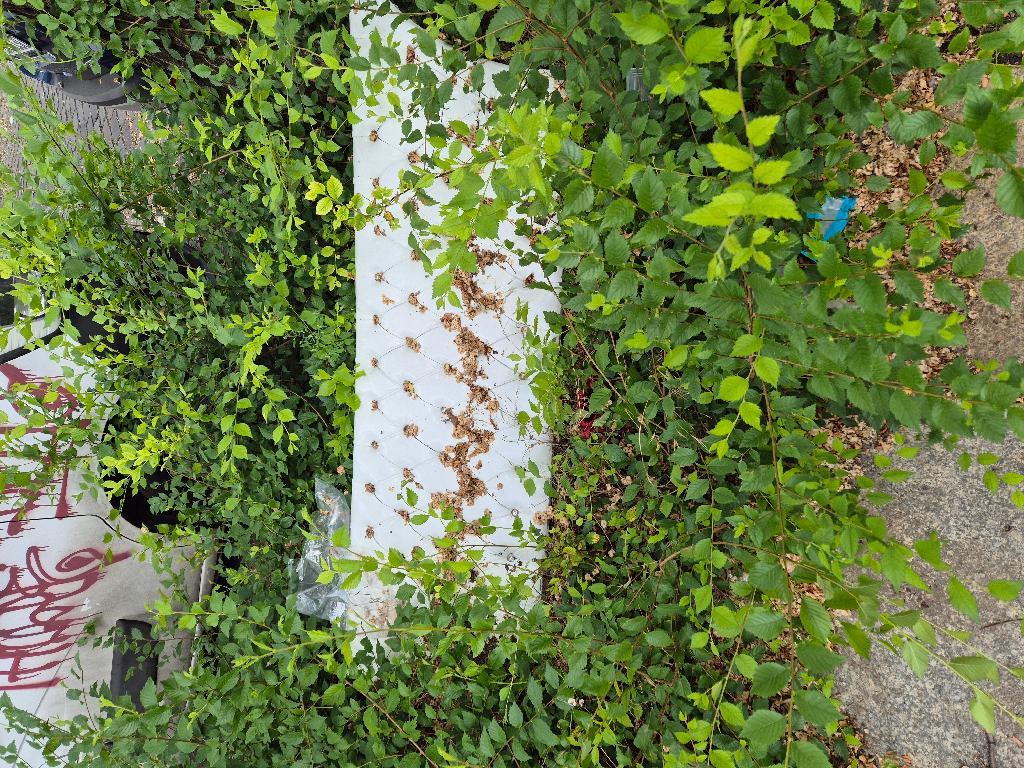 Foto zur Meldung: Abfall - Sperrmüll