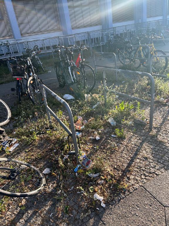 Foto zur Meldung: Abfall - Müllablagerung