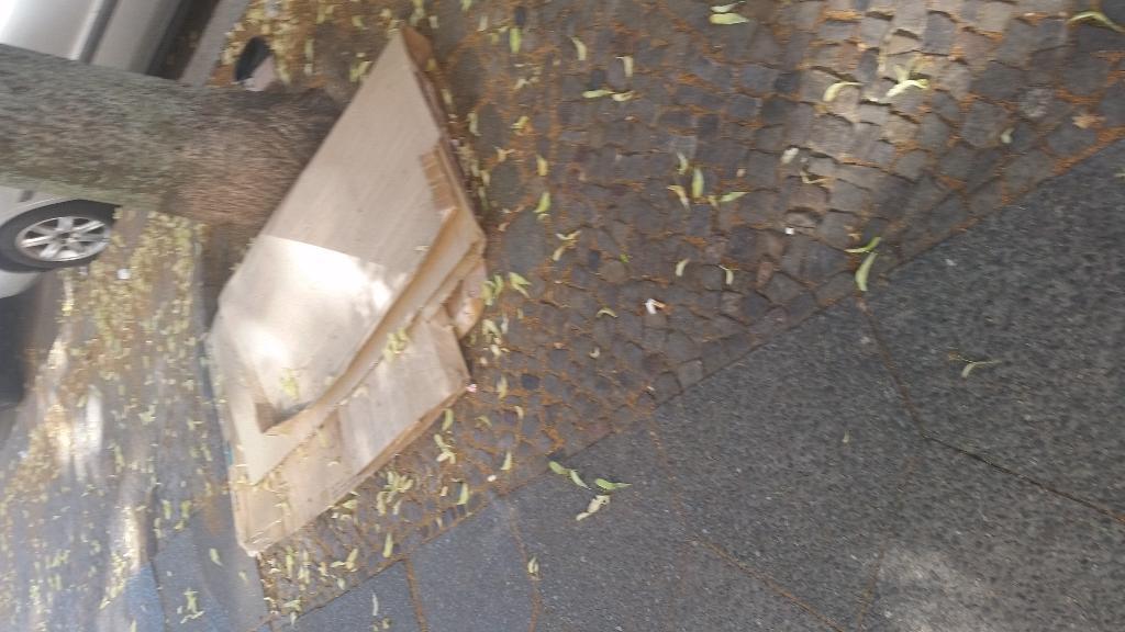 Foto zur Meldung: Abfall - Sperrmüll