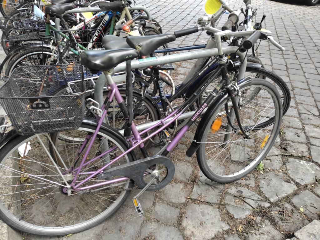 Foto zur Meldung: Abfall - Schrottfahrräder liste