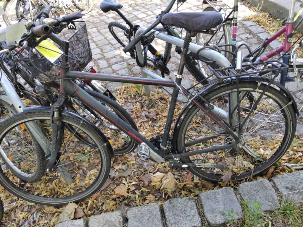 Foto zur Meldung: Abfall - Schrottfahrräder liste