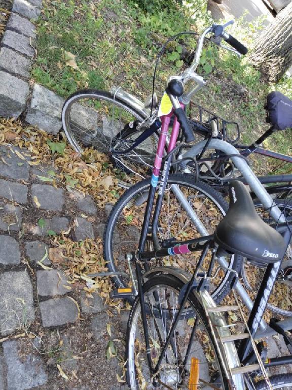 Foto zur Meldung: Abfall - Schrottfahrräder