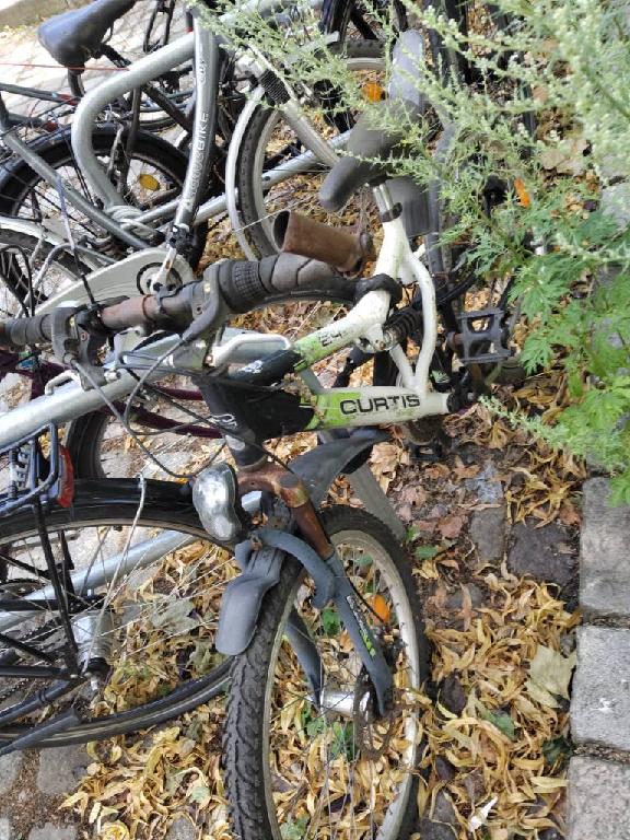Foto zur Meldung: Abfall - Schrottfahrräder