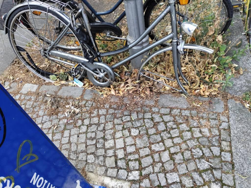 Foto zur Meldung: Abfall - Schrottfahrräder entsorgt
