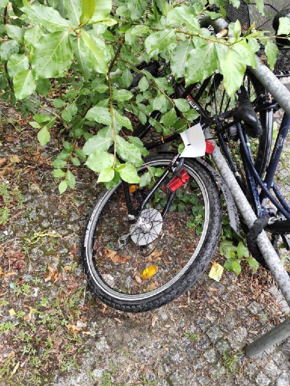 Foto zur Meldung: Abfall - Schrottfahrräder liste