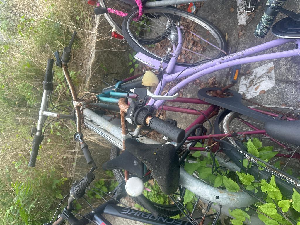 Foto zur Meldung: Abfall - Schrottfahrräder Liste