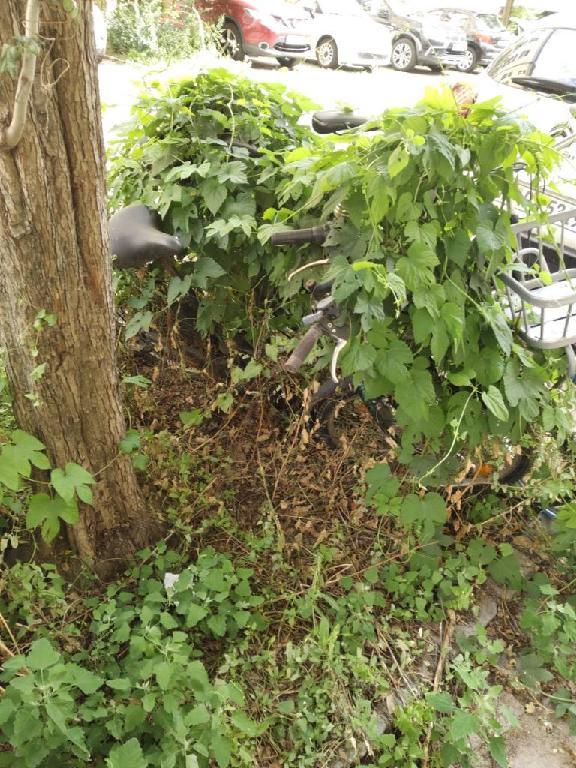 Foto zur Meldung: Abfall - Schrottfahrräder liste
