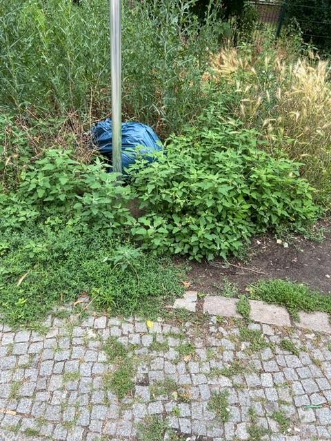 Foto zur Meldung: Abfall - Müllablagerung