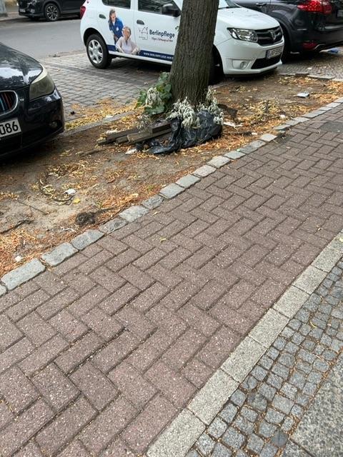Foto zur Meldung: Abfall - Bioabfälle