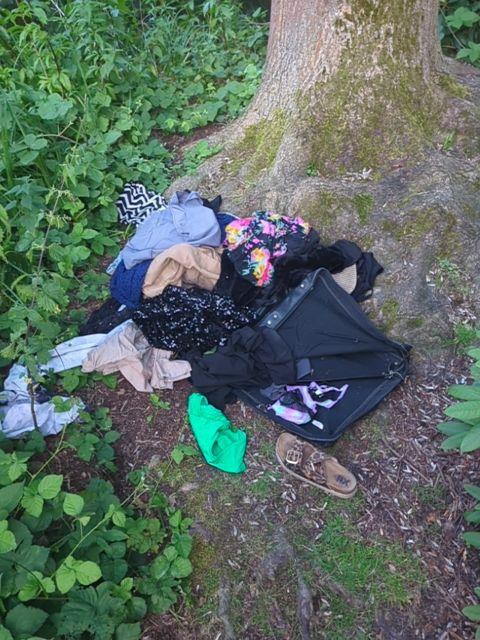 Foto zur Meldung: Abfall - Müllablagerung
