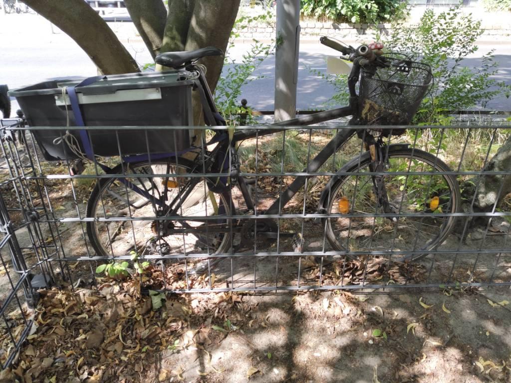 Foto zur Meldung: Abfall - Schrottfahrräder liste