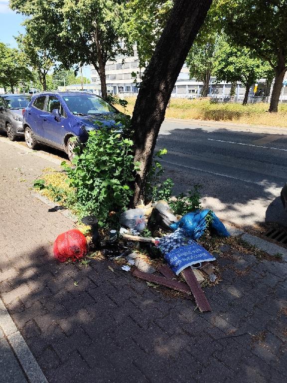 Foto zur Meldung: Abfall - Sonstiges