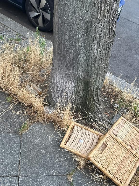 Foto zur Meldung: Abfall - Müllablagerung