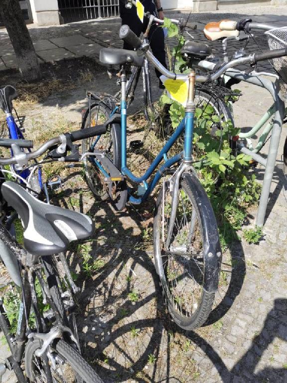 Foto zur Meldung: Abfall - Schrottfahrräder