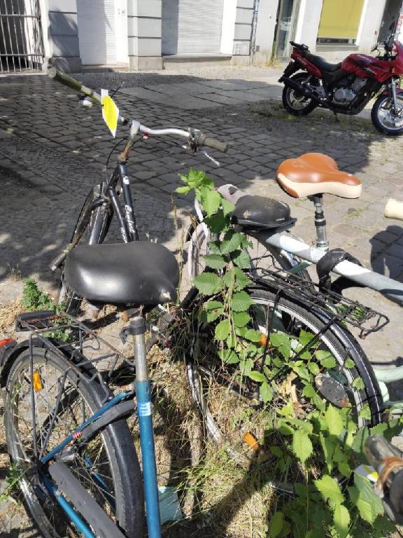 Foto zur Meldung: Abfall - Schrottfahrräder liste