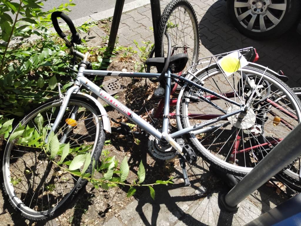 Foto zur Meldung: Abfall - Schrottfahrräder liste