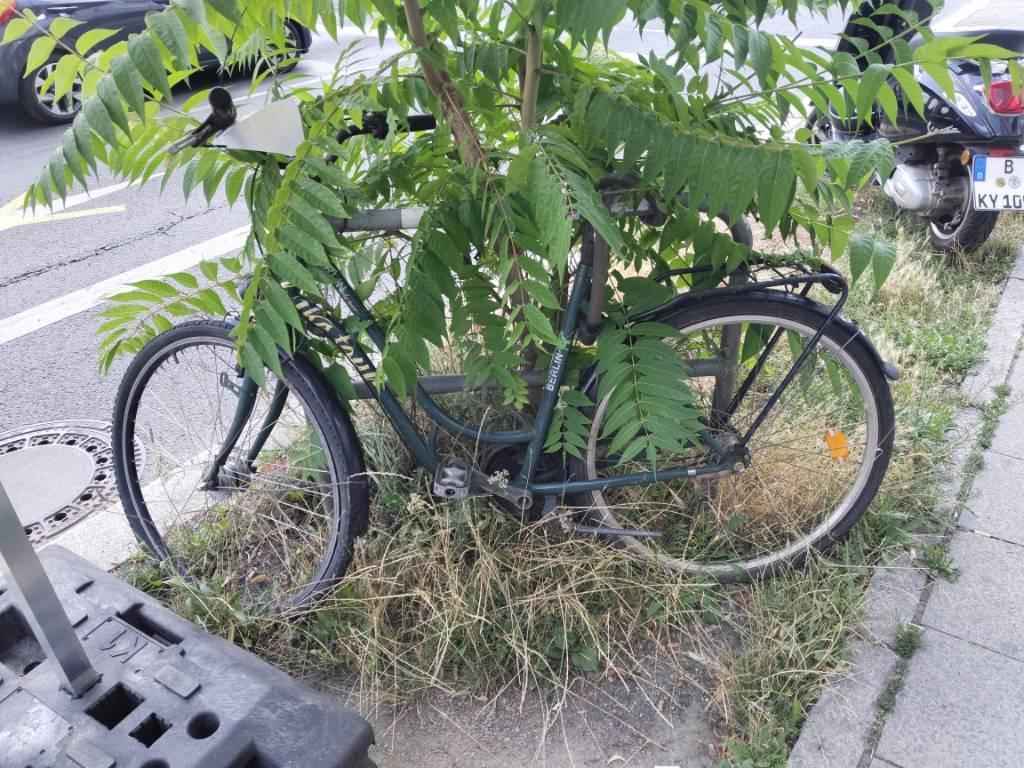 Foto zur Meldung: Abfall - Schrottfahrräder liste