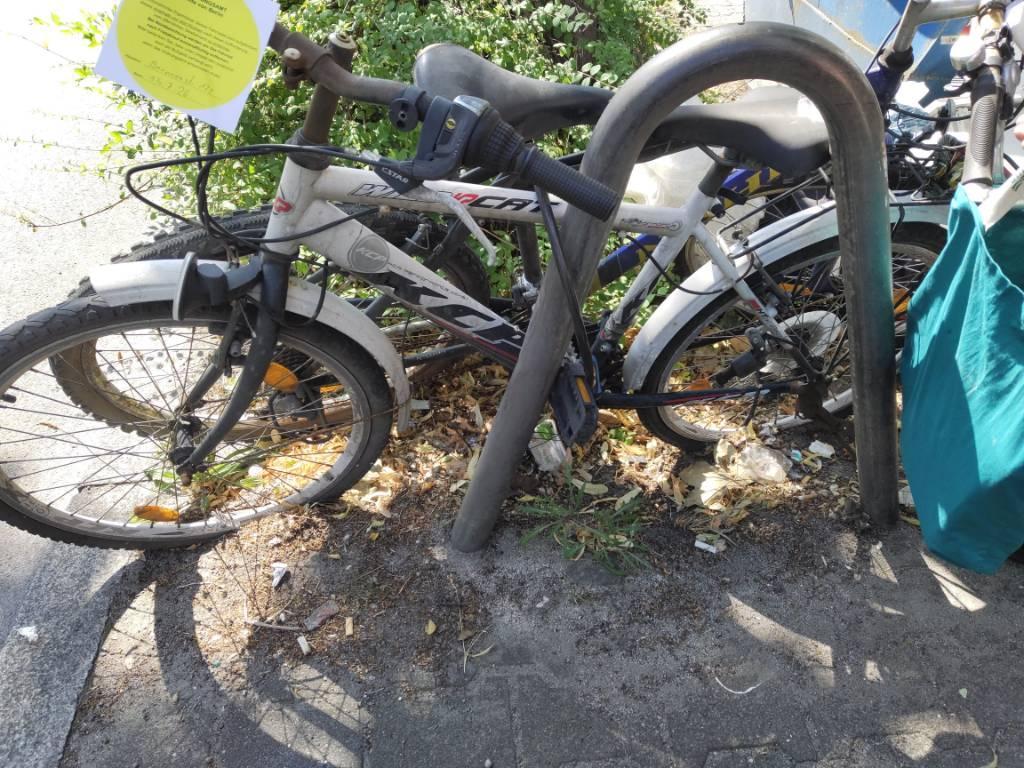 Foto zur Meldung: Abfall - Schrottfahrräder liste
