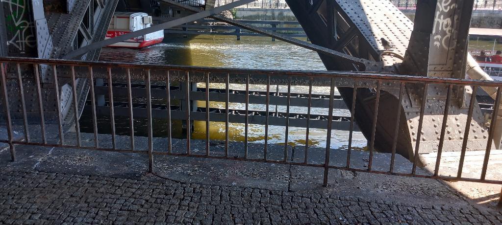 Foto zur Meldung: Straßenaufsicht - Mangelnde Straßenreinigung
