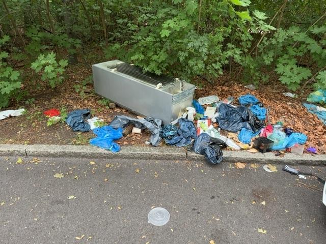 Foto zur Meldung: Abfall - Elektroschrott