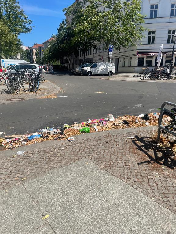 Foto zur Meldung: Straßenaufsicht - Mangelnde Straßenreinigung