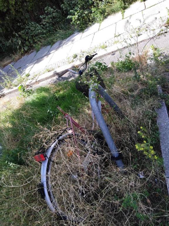 Foto zur Meldung: Abfall - Schrottfahrräder entsorgt