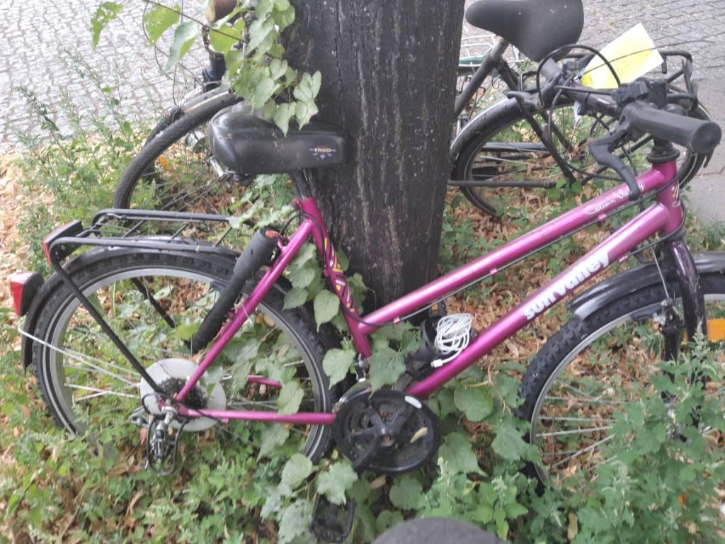 Foto zur Meldung: Abfall - Schrottfahrräder liste