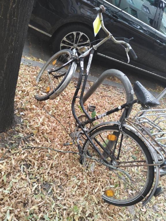 Foto zur Meldung: Abfall - Schrottfahrräder liste