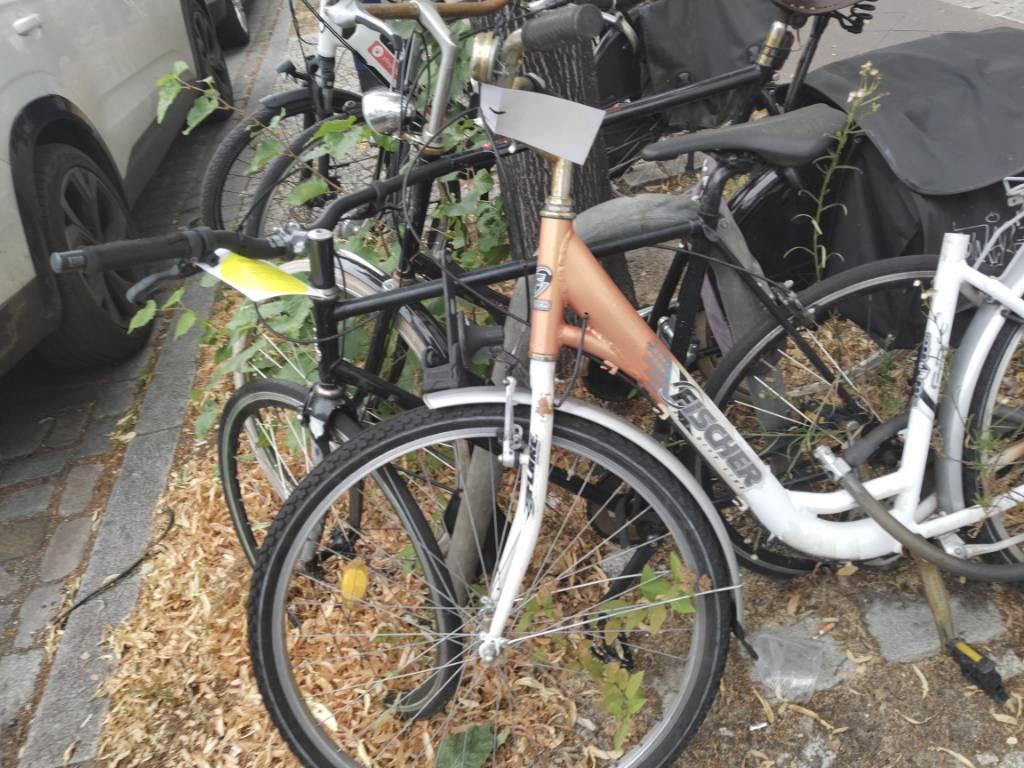 Foto zur Meldung: Abfall - Schrottfahrräder löiste