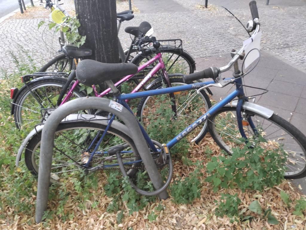 Foto zur Meldung: Abfall - Schrottfahrräder liste