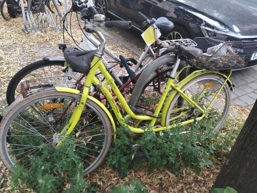 Foto zur Meldung: Abfall - Schrottfahrräder liste