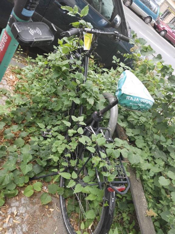 Foto zur Meldung: Abfall - Schrottfahrräder liste