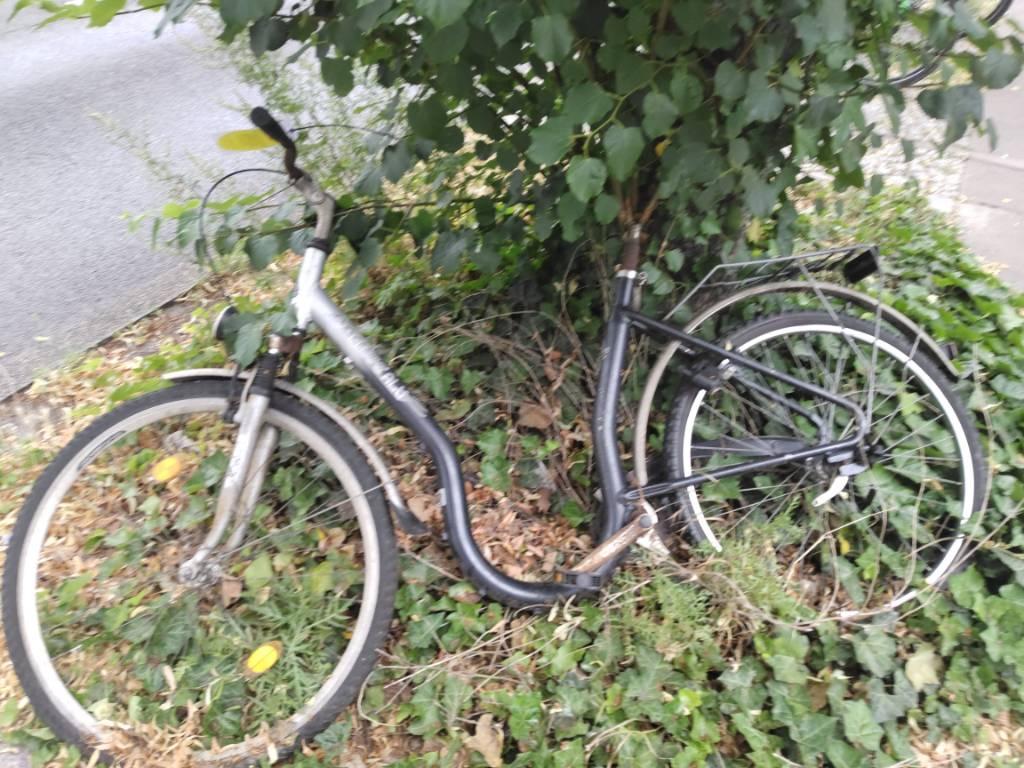 Foto zur Meldung: Abfall - Schrottfahrräder liste