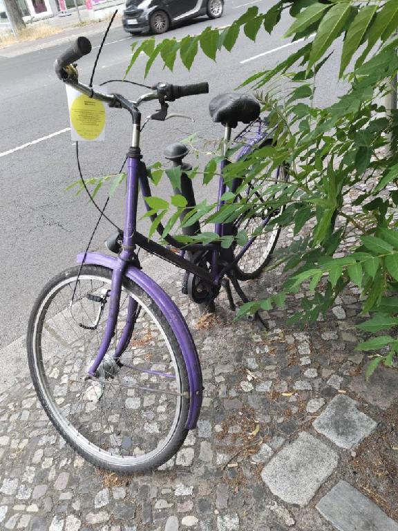 Foto zur Meldung: Abfall - Schrottfahrräder liste