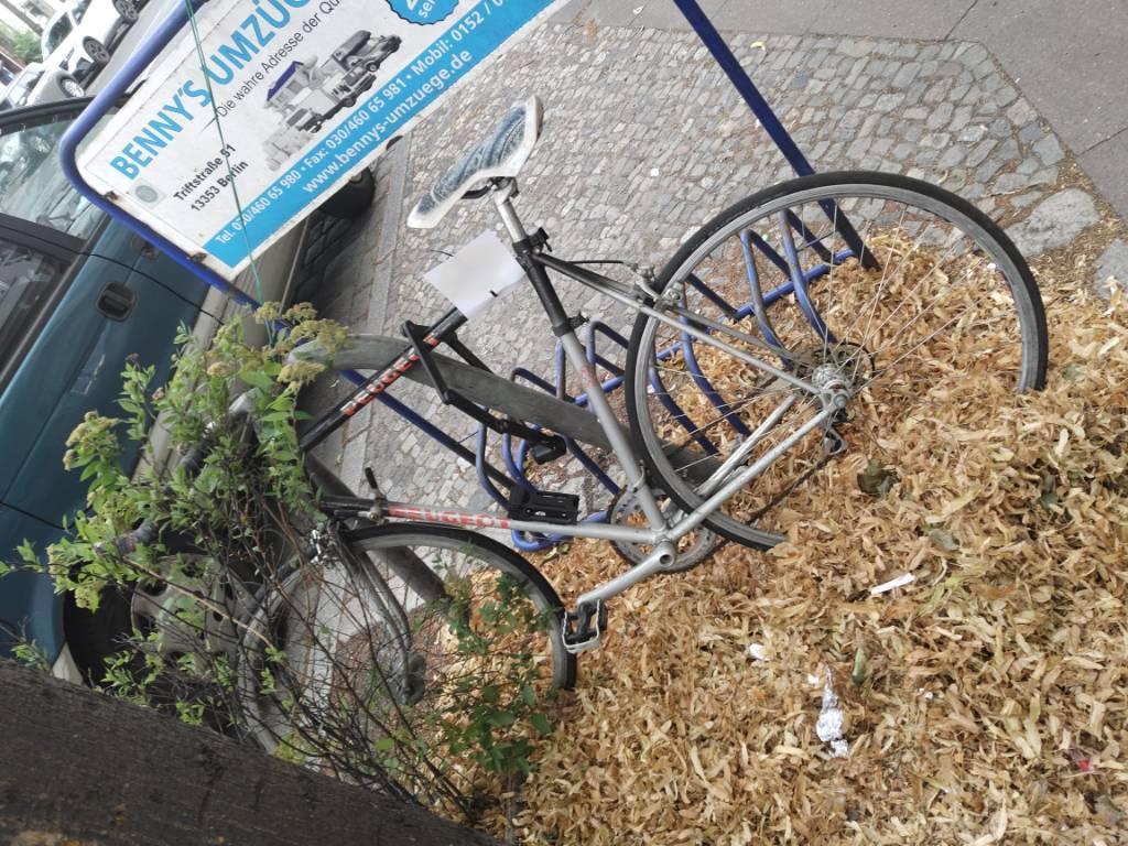 Foto zur Meldung: Abfall - Schrottfahrräder liste