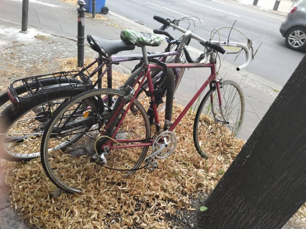 Foto zur Meldung: Abfall - Schrottfahrräder liste