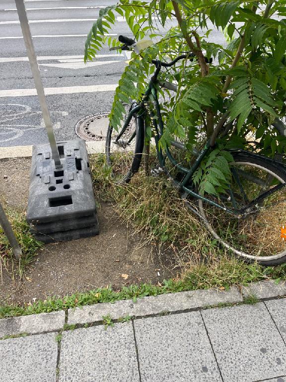 Foto zur Meldung: Abfall - Schrottfahrräder