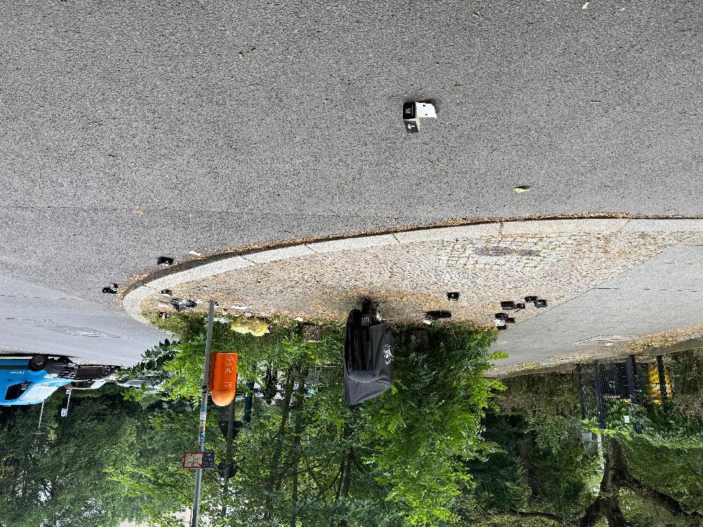 Foto zur Meldung: Straßenaufsicht - Mangelnde Straßenreinigung