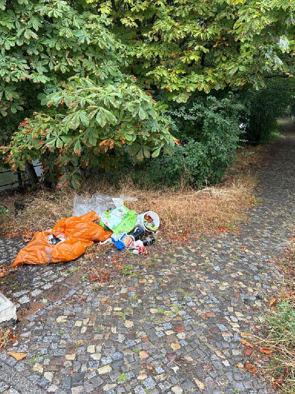Foto zur Meldung: Abfall - Müllablagerung