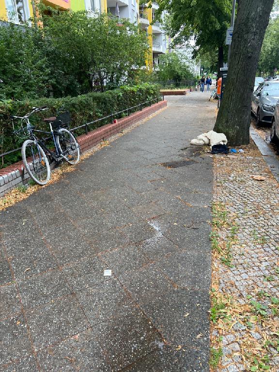 Foto zur Meldung: Abfall - Schrottfahrräder pr.
