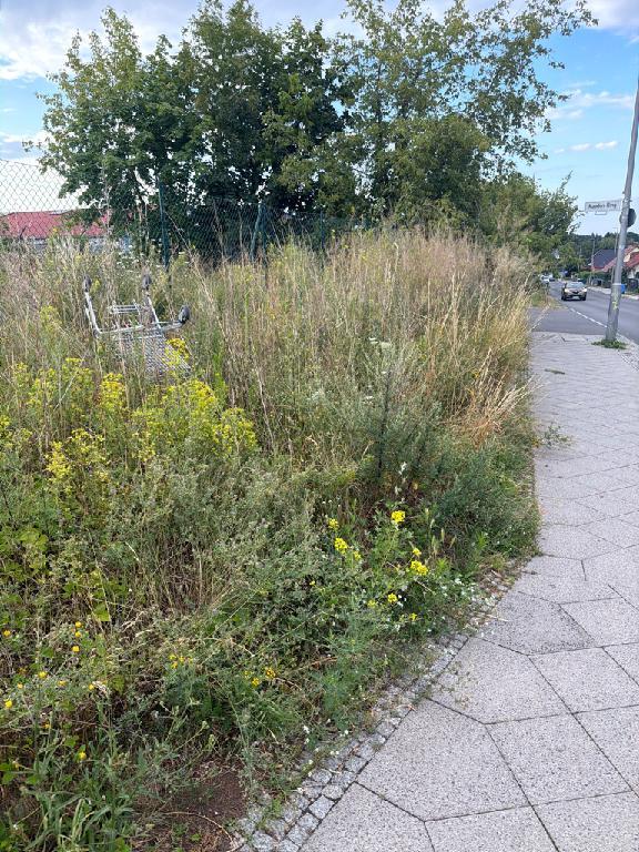 Foto zur Meldung: Abfall - Sonstiges