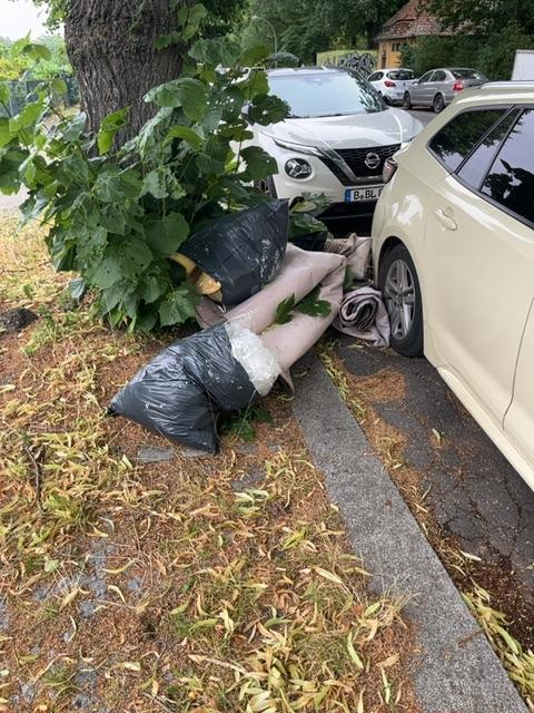 Foto zur Meldung: Abfall - Sperrmüll