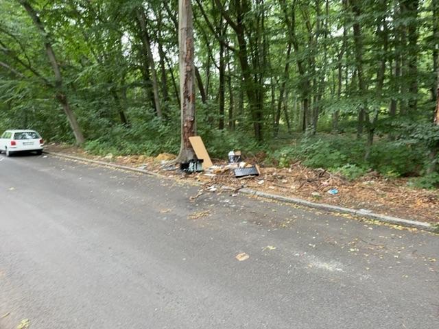 Foto zur Meldung: Abfall - Müllablagerung