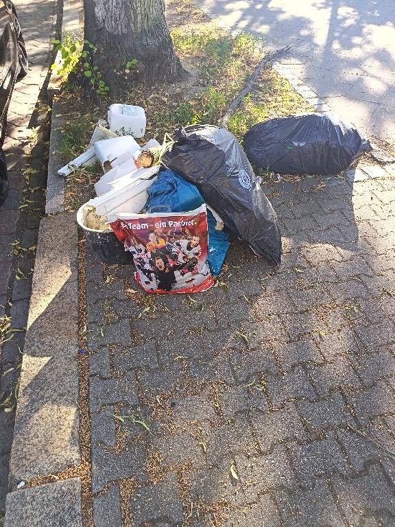 Foto zur Meldung: Abfall - Müllablagerung