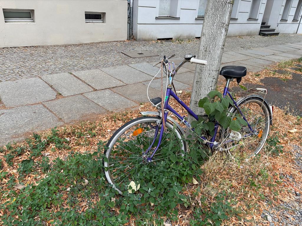 Foto zur Meldung: Abfall - Schrottfahrräder pr