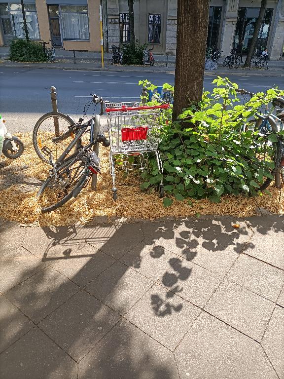 Foto zur Meldung: Abfall - Elektroschrott