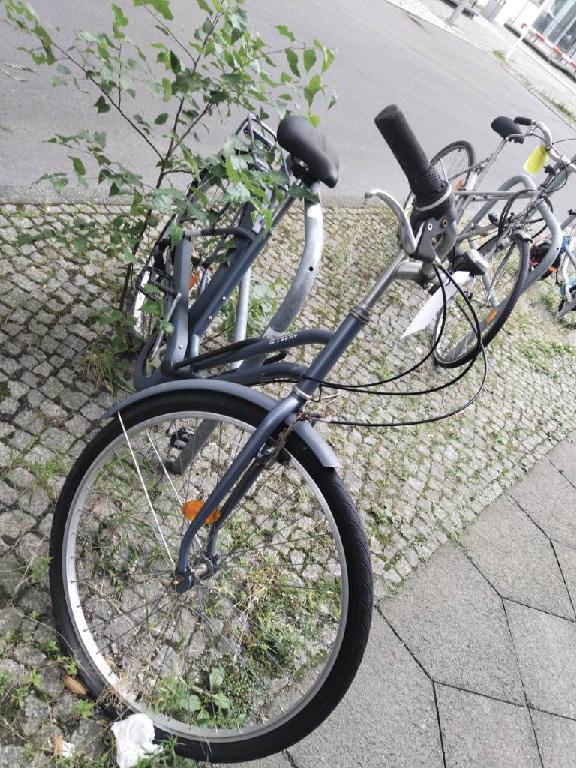 Foto zur Meldung: Abfall - Schrottfahrräder liste