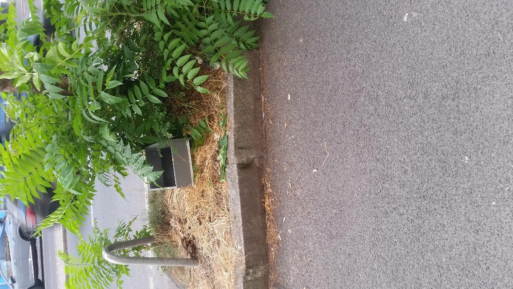 Foto zur Meldung: Abfall - Sperrmüll