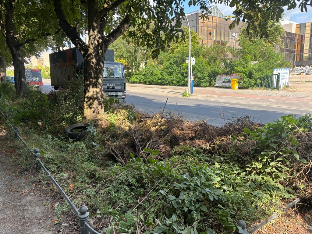 Foto zur Meldung: Abfall - Elektroschrott